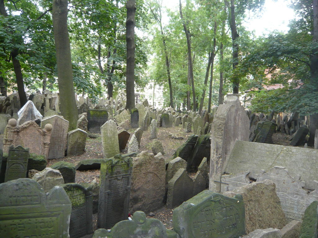 Letná